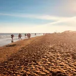 Beachfront Two-room Apartment-beahost *