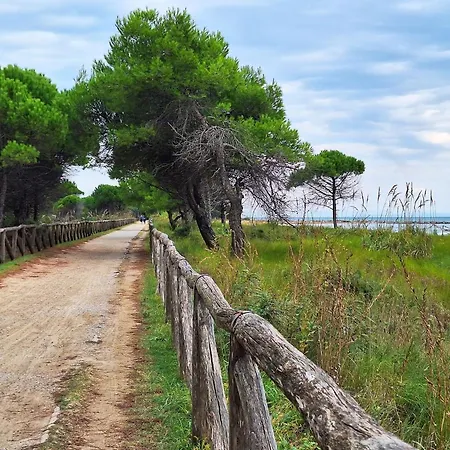 Apartment Beachfront Two-room For 5 Guests Bibione