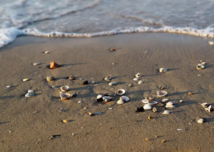 Daire Beachfront Two-room Apartment-beahost